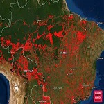 What Are the Risks of Fires in the Amazon？
