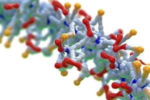 新闻听力 | 科学家们因预测和设计蛋白质而荣获诺贝尔化学奖
