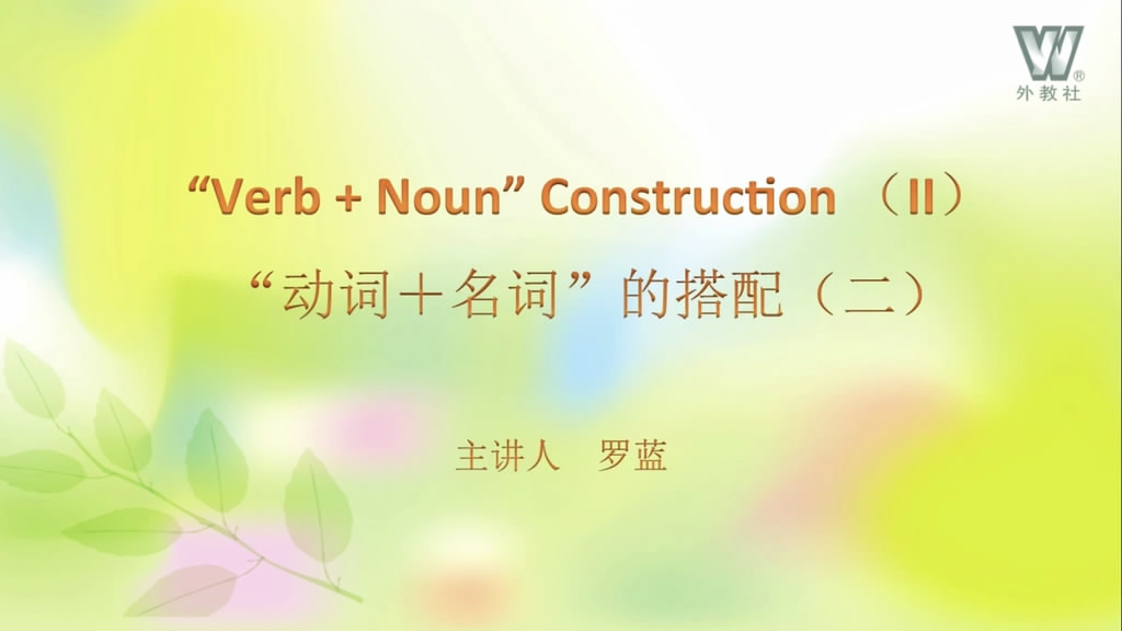 “Verb + Noun” construction (II)