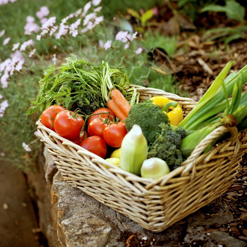 More Russians Growing Their Own Food