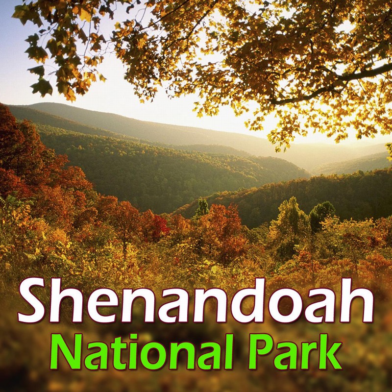 Shenandoah: A Western-Style Park in the East