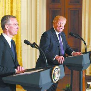 President Trump Meets with NATO Secretary General