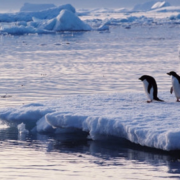 练习 | BBC新闻：南极洲冰层下生存着未知种类的动植物