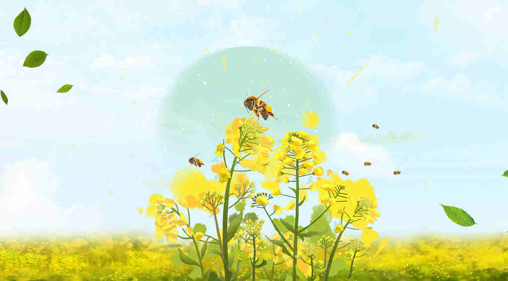 练习 | 蜜蜂通过气味识别同伴