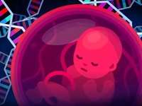 Why are scientists so upset about the first Crispr babies?