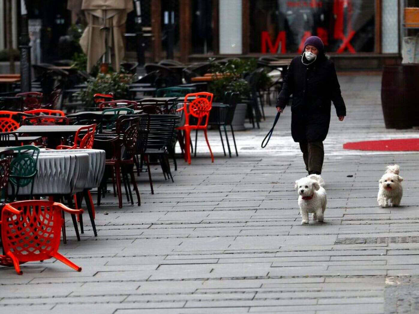 Serbia’s dog walking ban sparks outrage among pet owners