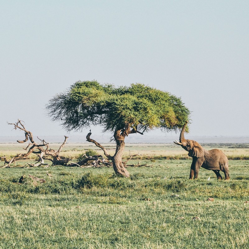 China Southern Airlines Boosts China-Africa Tourism