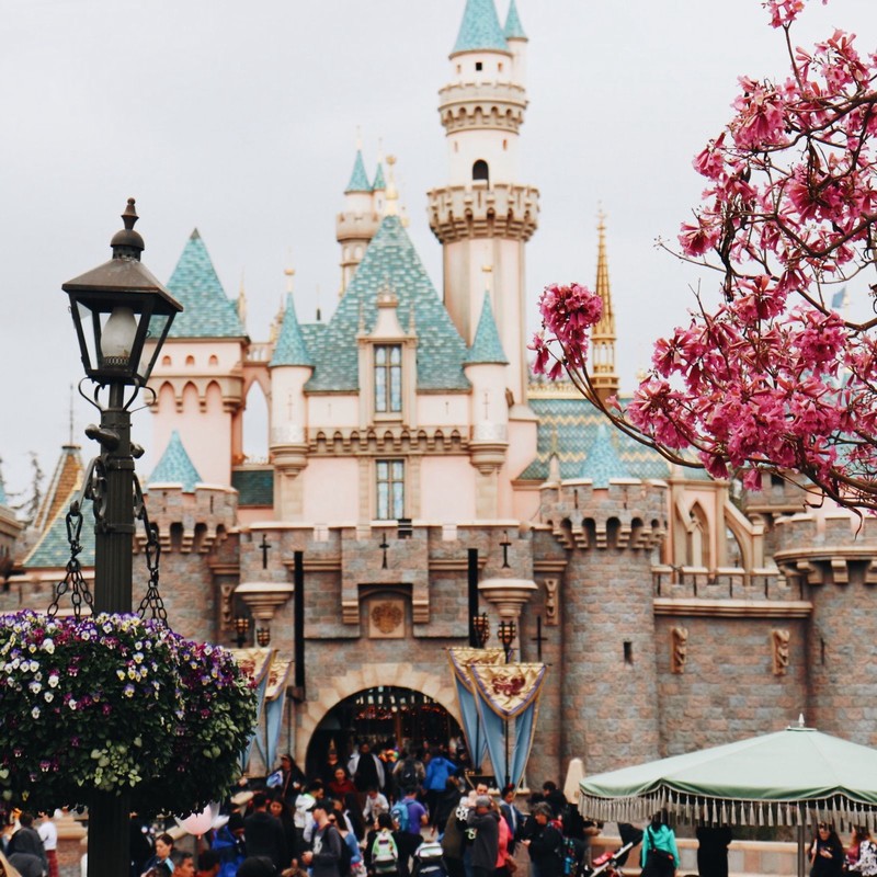Pricing in the Florida Disneyland Increased after the Dow Jones Average Index Jumped up