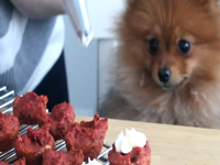 Red Velvet Cupcakes For Dogs