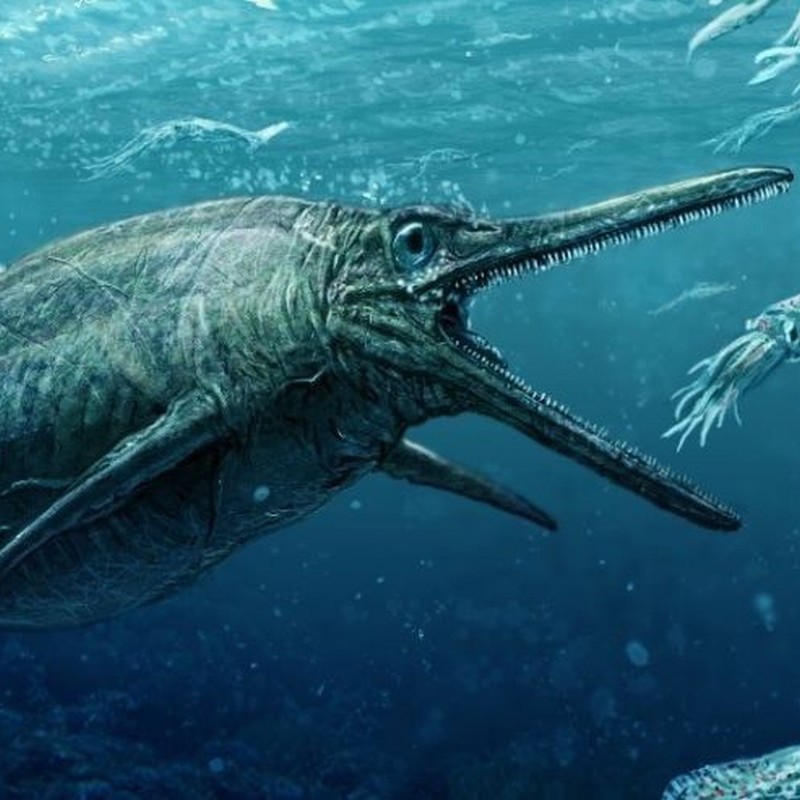 Sea Monster Swam Oceans 170 Million Years Ago