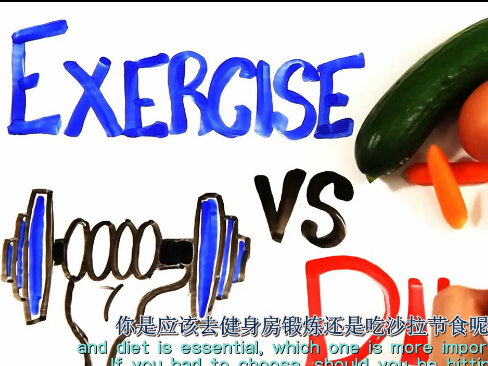 Diet or Exercise