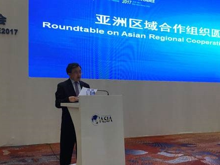 Speech at the “Roundtable on Asian Regional Cooperation Organizations” at the Boao Forum for Asia Annual Conference 2017