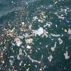 Oceans to Hold More Plastic than Fish by 2050