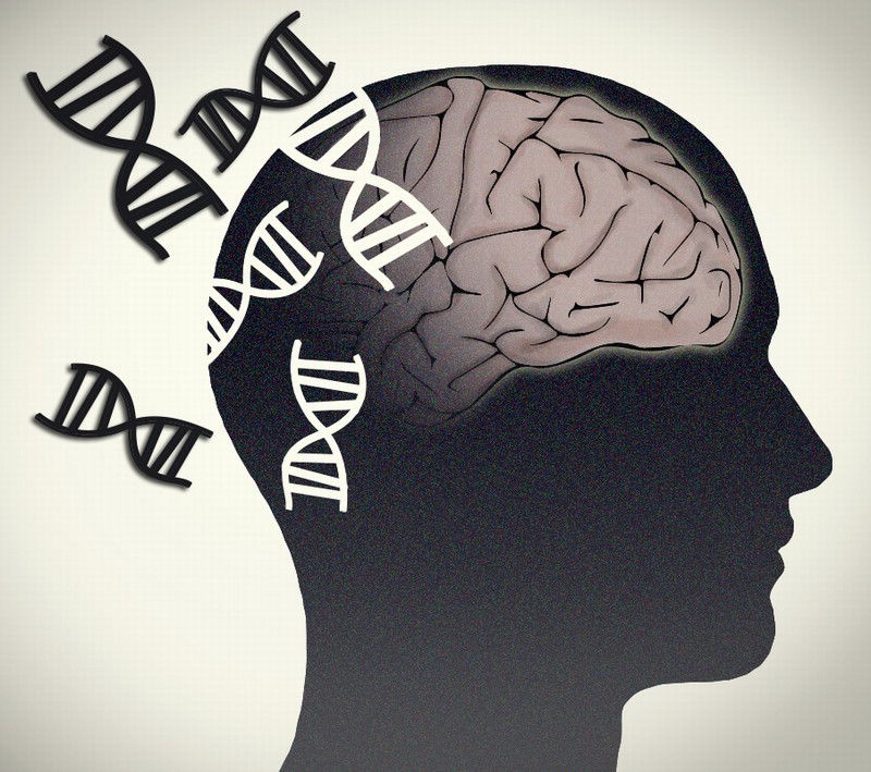Autism-Related Genes Discovered