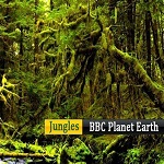 BBC纪录片《我们的地球》:茂密丛林