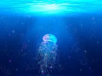 Surprised by a giant jellyfish
