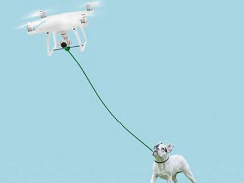 A New Dog Drone