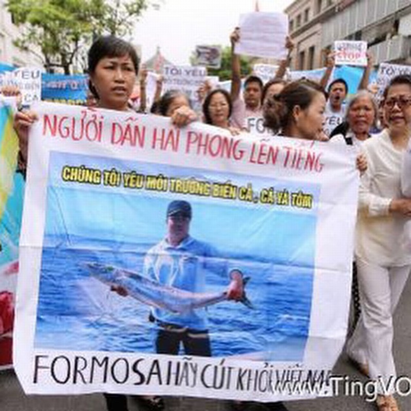Vietnam: ‘Serious Lessons’ Learned From Fish Kills