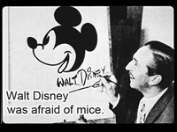 Walt Disney—Ruler of the Magic Kingdom