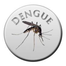 Telephone Hotline in Pakistan Predicts Dengue Outbreaks