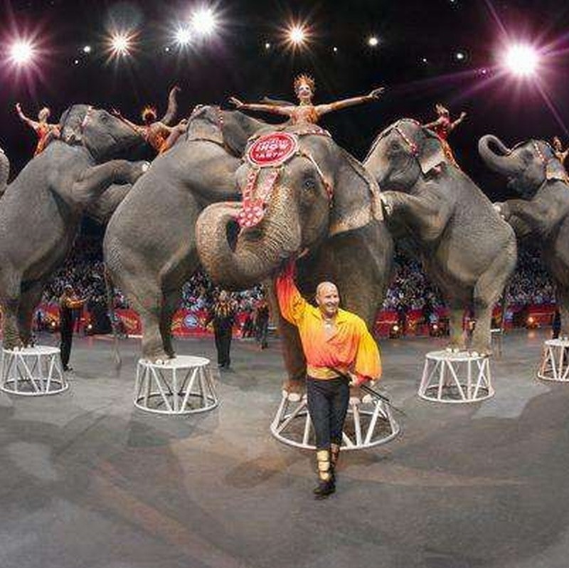 Famous American Circus to Broadcast Last Show on Facebook