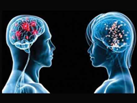 Can We Stop Talking about Male and Female Brains?
