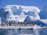Ringing in New Year in Antarctica