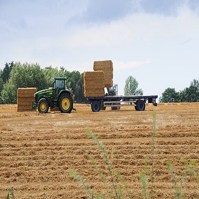 African Farmers Growing Organic Foods for European Market