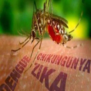 练习 | The First Case of the Zika Virus Transmitted by Local Mosquitoes in Florida