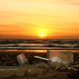 研究表明到2040年流入海洋的塑料污染物将增至三倍