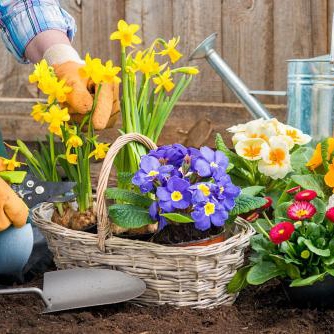 The Health Benefits of Gardening