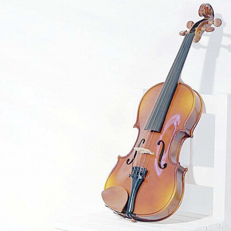 After 35 years, Music Lovers Again Hear a Rare Violin