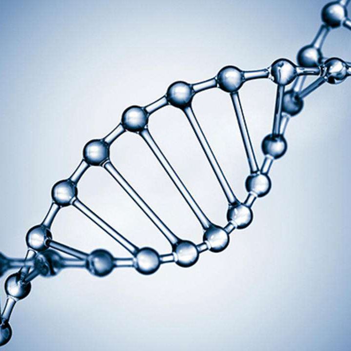 人类基因组计划推动新冠病毒研究