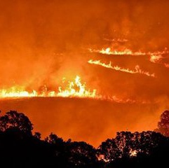 Wild Fires in California Have Been Contained