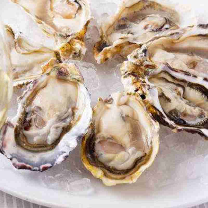 Recycling Oyster Shells Improves Water Quality, Oyster Population
