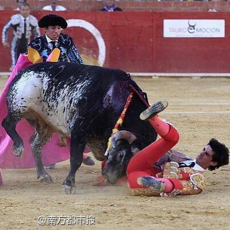 Matador Dies at Spanish Bullfight