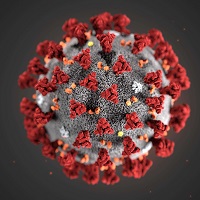 What Do Studies on New Coronavirus Mutations Tell Us？